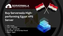 Enjoy Lightning-Fast Speed with Serverwala’s Egypt, Alexandria