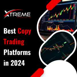 Best Copy Trading Platforms in 2024, Port Louis