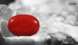 Buy Best Itelian Red Coral Stone At Online, $ 30,000