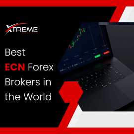 Best ECN Forex Brokers in the World, Port Louis