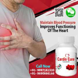 Effective Natural Heart Care Cardiotone XL Capsule, Amroha