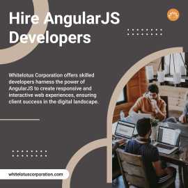 hire angularjs developers, Ahmedabad