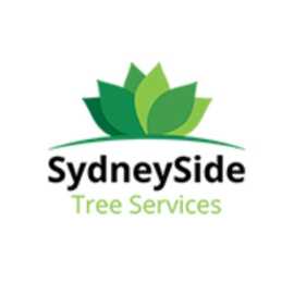 Stump Grinding Sydney: Efficient and Dust-Free , Sydney