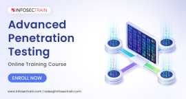 Penetration Testing Online Training, Riyadh