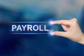 Streamline Your Payroll Management Software, Lagos