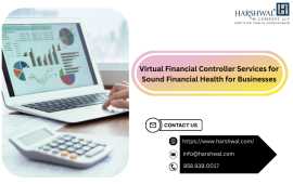 Virtual Business Controller for Accurate Financial, San Diego