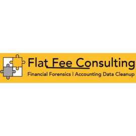Excel in Your Industry with Flat Flee Consulting , Houston