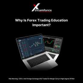 Why Is Forex Trading Education Important?