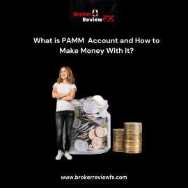 What is PAMM  Account and How to Make Money , New York