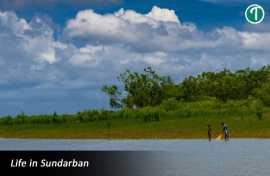 Sundarban Package Tour From Kolkata