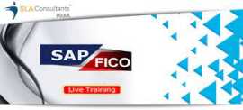 Best SAP FICO Coaching in Delhi, SLA Institute, Accounting, Taxation, Tally, GST, Finance & Controlling Classes with 100% Job, , New Delhi