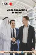 Agile Consulting in Dubai With Benzne, Adoni