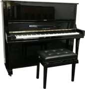 Master the Keys with AMS Music Centre's Piano Less