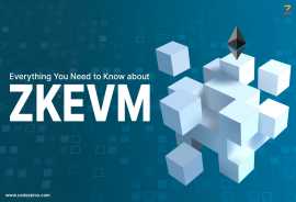 Everything You Need to Know about zkEVM, Abbeville