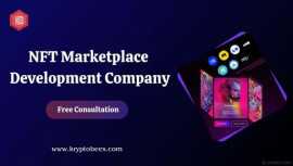 Develop your own NFT marketplace with the best tec, Lewis Center