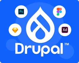Drupal website development