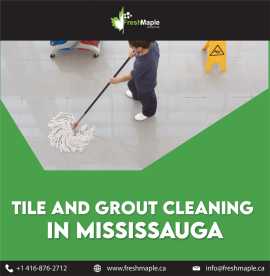 Tiles and Grout Cleaning in Mississauga , Oakville