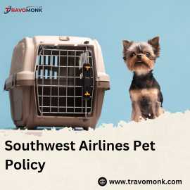 Understanding Southwest Pet Carrier Restrictions, Meyers Chuck