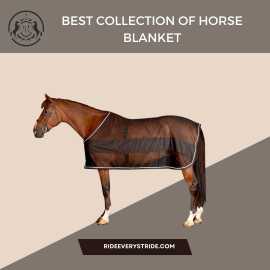 Best Collection Of Horse Blanket, $ 0