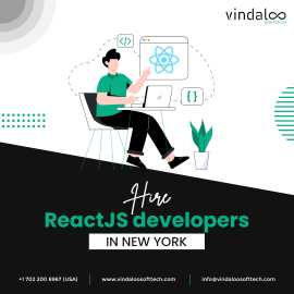 Hire ReactJS developers in New York - Vindaloo Sof, New York