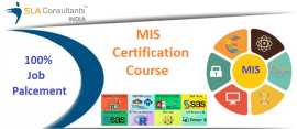 Bright Your Career with MIS Certification Course at SLA Consultants India with 100% Job Guarantee, New Delhi