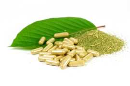 Guide: Different Types of Kratom and Their Effects