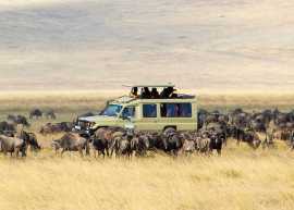 Best Safari Park In Tanzania, Arusha