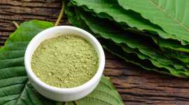 The Relationship Between Kratom and Liver Health