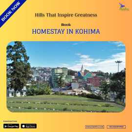  Best Homestay in Kisama Village Near Hornbill , Kohima