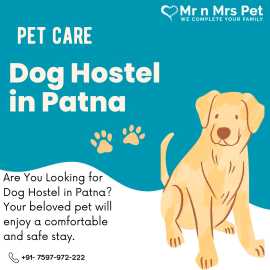 Dog Boarding Services in Patna, Patna