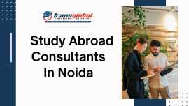 Study Abroad Consultants in Noida: Transglobal , New Delhi