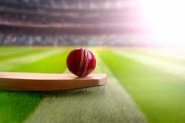 Cricket Live Casino in India | Rajabets, Mumbai