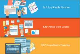 Online SAP Finance Certification in Laxmi Nagar, Delhi, SLA Accounting Institute, BAT Training Classes,  Oct 23 Offer,, New Delhi