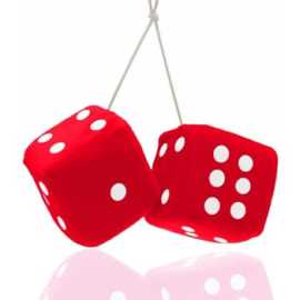 PromoGifts24 Offer Wholesale Fuzzy Dice in Florida, Miami