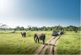 Serengeti Camping safari in Tanzania