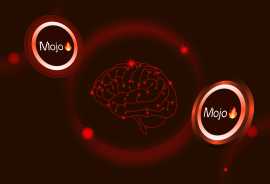 Mojo: The next big thing for AI developers?, Abbeville