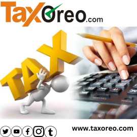 Professional Accounting Taxation Service in Nagpur, Nagpur