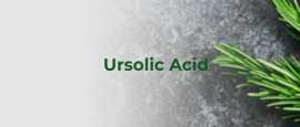 Ursolic Acid Suppliers, $ 0