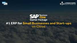 SAP Business One Cloud Solution, Noida