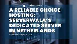 A Reliable Hosting Choice: Serverwala’s Dedicated , Washington