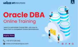 A Journey Through Top Oracle DBA Course in Noida, Noida