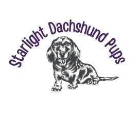 Stardachshunds - Miniature Dachshund Puppies for