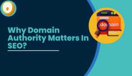 Why Domain Authority matters in seo?, Delhi
