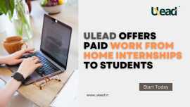 ULead Offers Paid Work From Home Internships to Students, Hyderabad