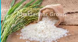 Choose The Best I ir64 rice exporter in India, Nagpur
