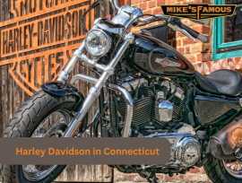 Harley Davidson Bristol CT with Mikes Famous!