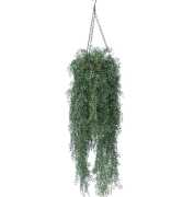 Elevate Your Space with Designer Plant Hanging Pot, $ 80