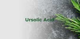 Ursolic Acid Manufacturers, $ 0