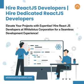 Hire React JS Developers Dallas, Delmar