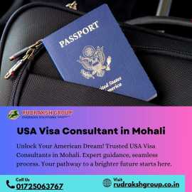 Services Offered by the USA Visa Consultant, Mohali